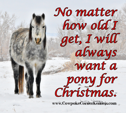 Christmas-pony-for-christmas