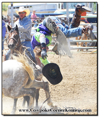 Cowley-Pioneer-Day-rodeo 0478