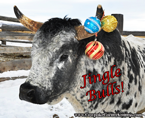 Jingle-bulls-Text 0577