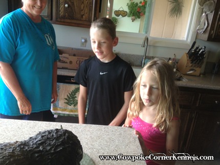 Kids and Cake 1378