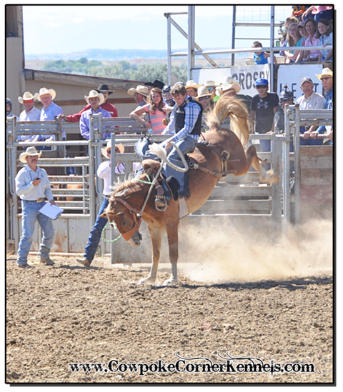 Rodeo-Rusty 0642