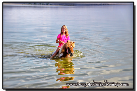 addie-and-pony-swimming