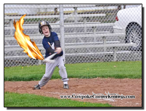 Aiden-Baseball-Flames