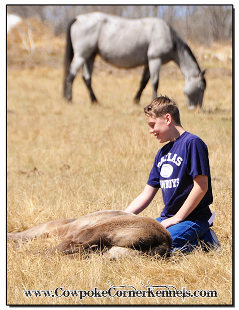 Black-foal-and-kid 0052