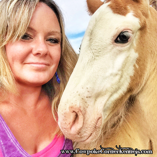 bucking-horse-colt-selfie