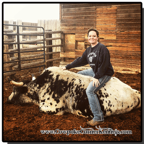Bull-riding-babe 5949