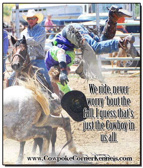 Cowley-Pioneer-Day-rodeo-words 0478