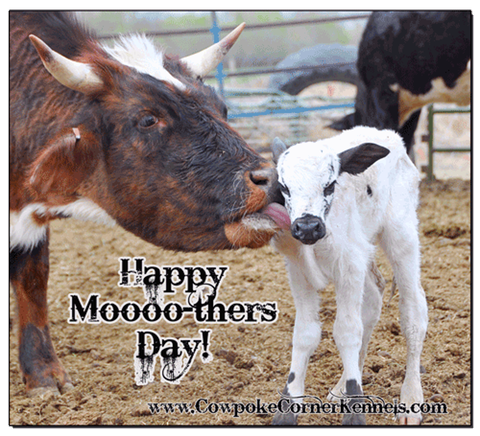 Mooothers-Day 0788