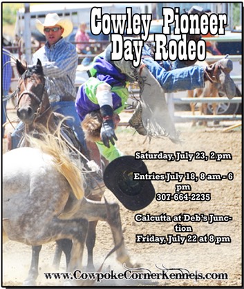 pioneer day rodeo ad color