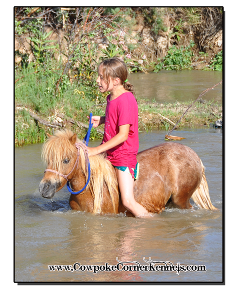 Pony-swim 0926