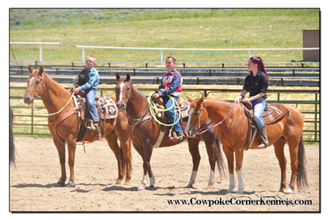 Rodeo-Camp 0742