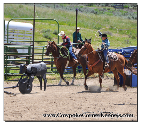 Rodeo-Camp 0750