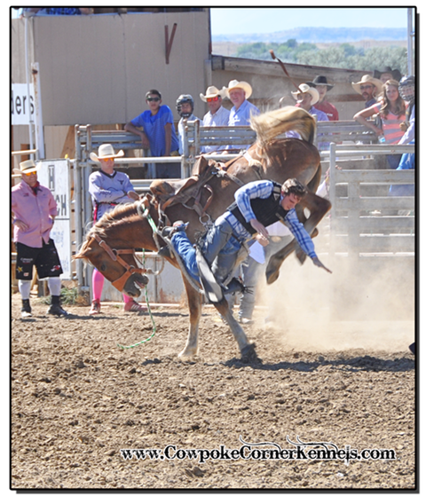 Rusty-rodeo 0646