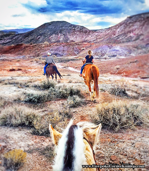trail-ride-in-red-hills-wyoming