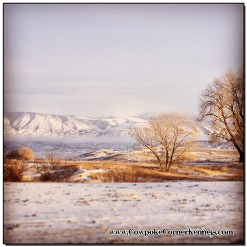 Winter-in-Wyoming 5772