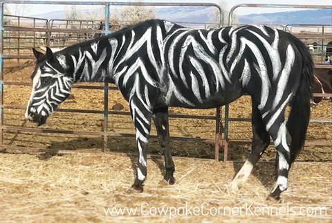 Zebra-horse-halloween 5013